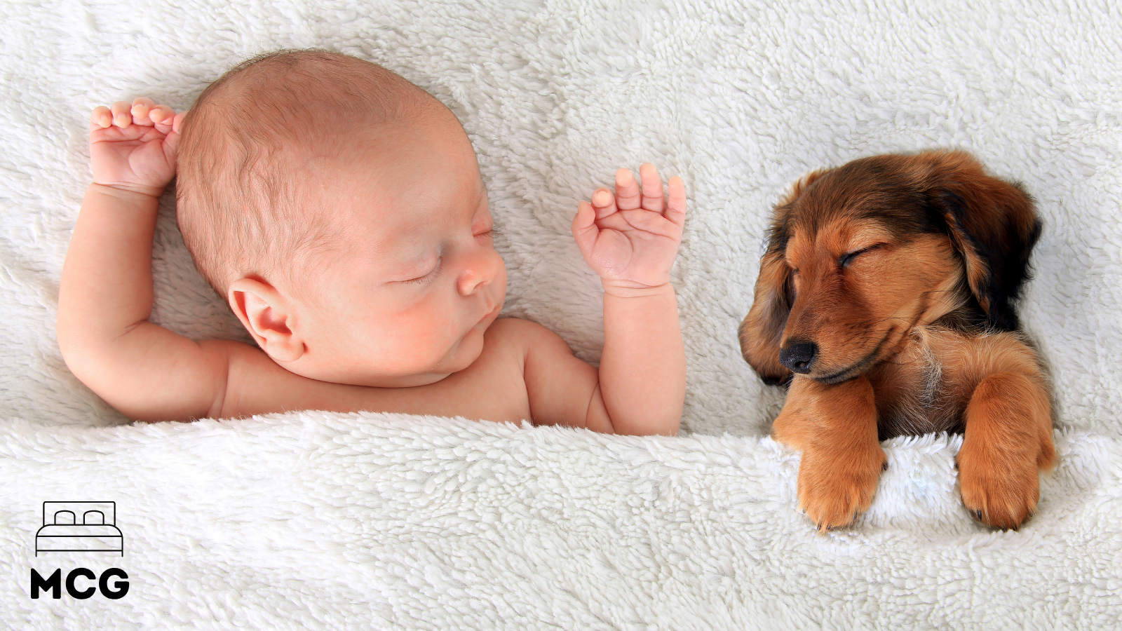 baby and puppy asleep beside eachother in bed