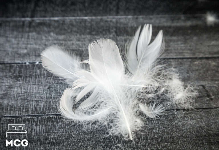 What is a Down Pillow? What Is Down in a Pillow? Pros & Con